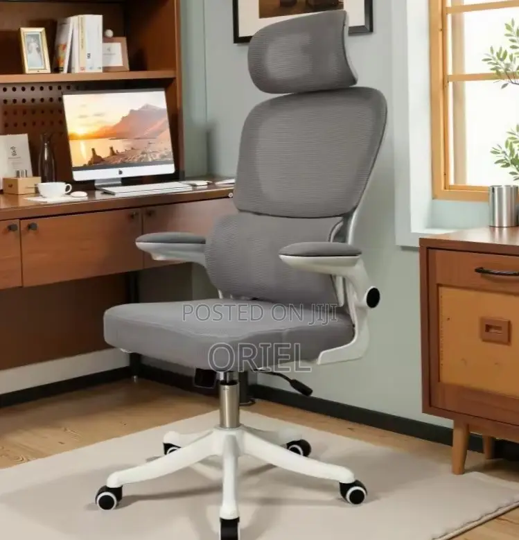 Modern Ergonomic Office Chair : Mesh High Back Chair