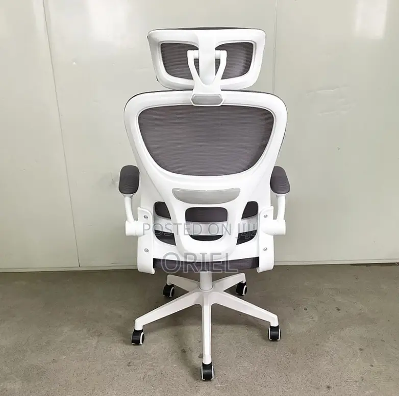 Modern Ergonomic Office Chair : Mesh High Back Chair