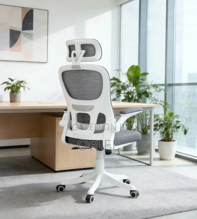 Modern Ergonomic Office Chair : Mesh High Back Chair