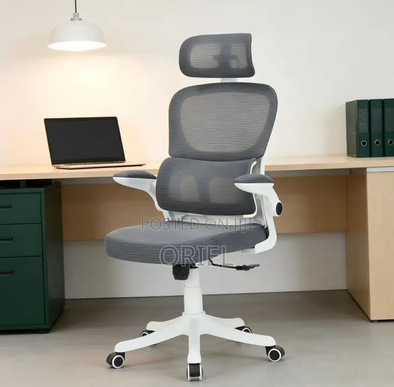 Modern Ergonomic Office Chair : Mesh High Back Chair