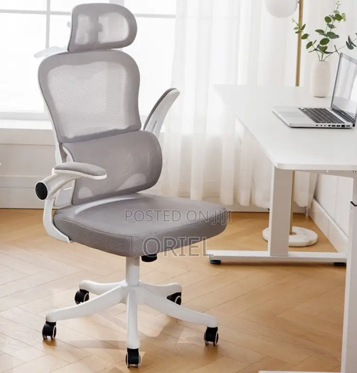 Modern Ergonomic Office Chair : Mesh High Back Chair