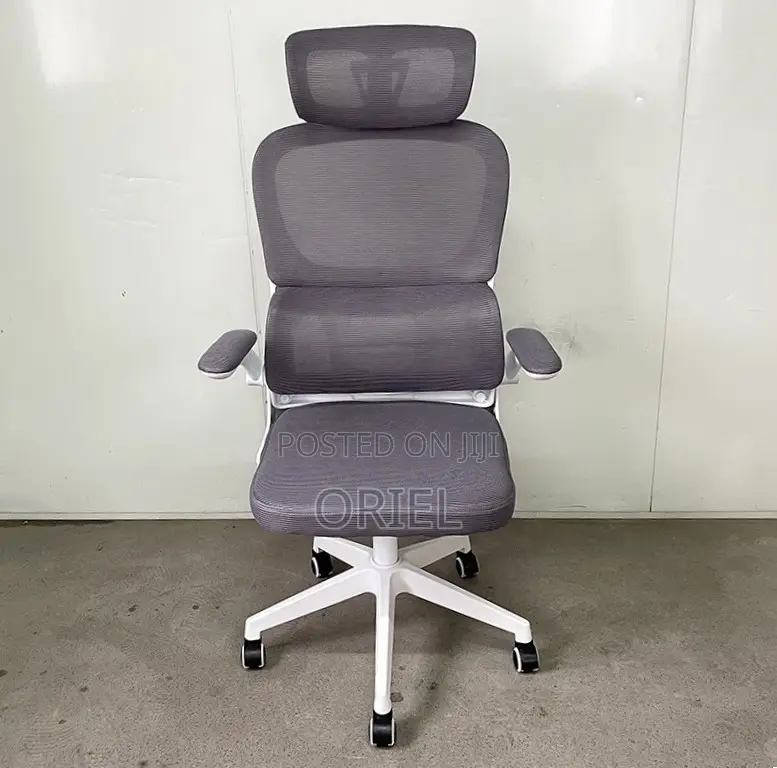 Modern Ergonomic Office Chair : Mesh High Back Chair