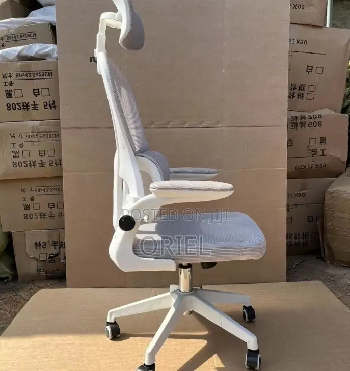 Modern Ergonomic Office Chair : Mesh High Back Chair