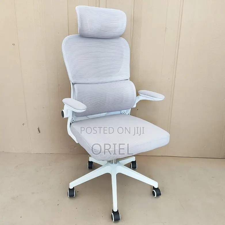 Modern Ergonomic Office Chair : Mesh High Back Chair