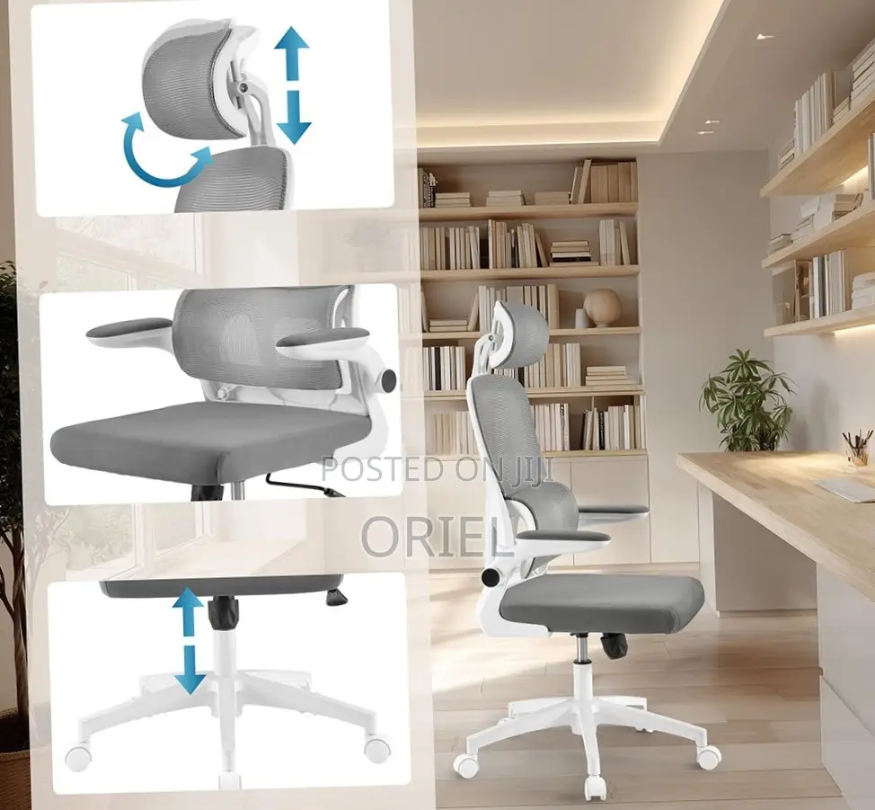 Modern Ergonomic Office Chair : Mesh High Back Chair