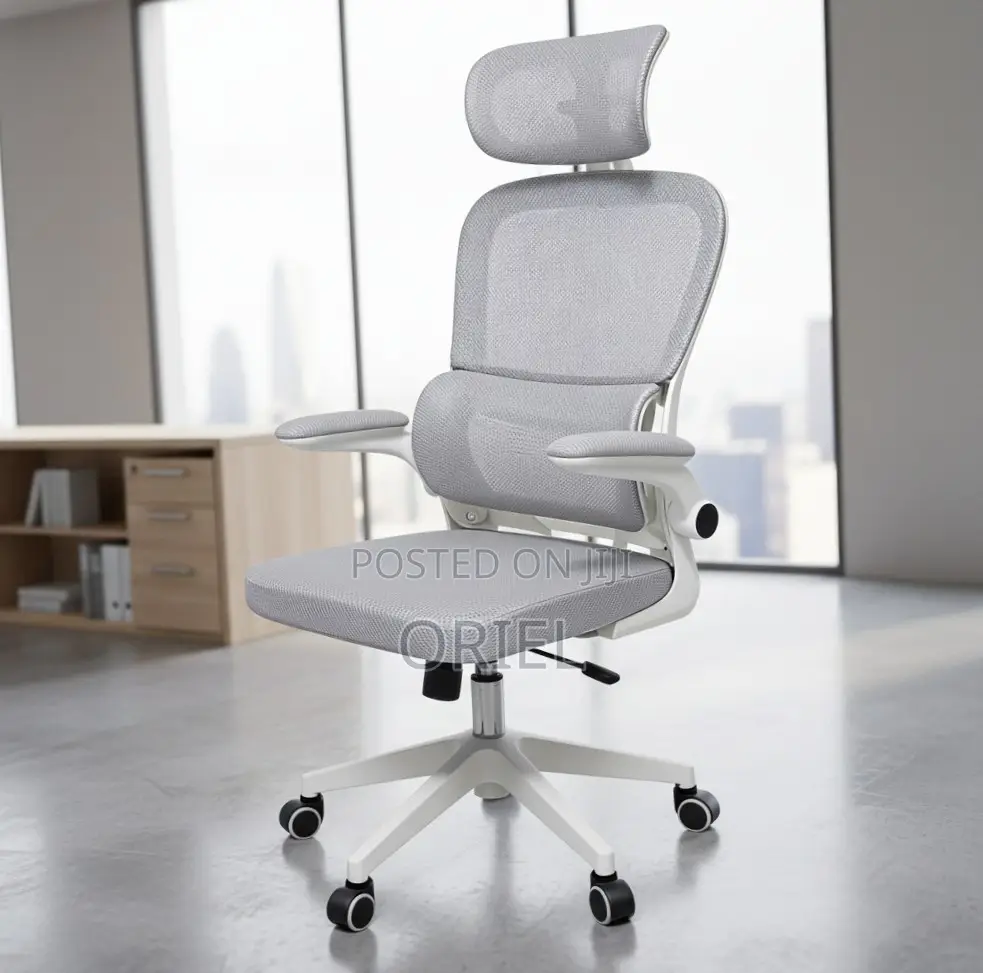 Modern Ergonomic Office Chair : Mesh High Back Chair