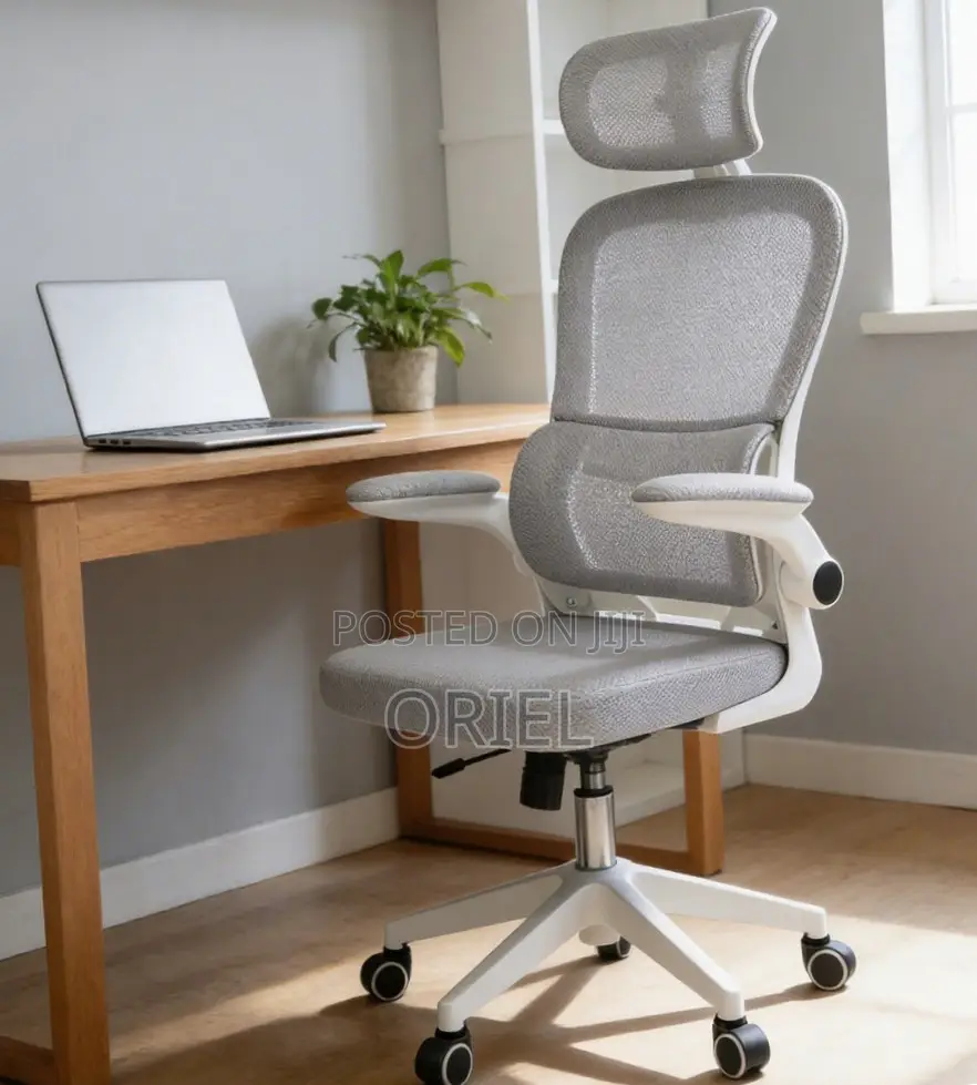 Modern Ergonomic Office Chair : Mesh High Back Chair
