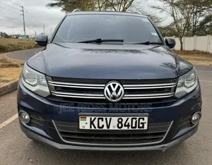 Volkswagen Tiguan 2014 Gray