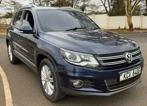 Volkswagen Tiguan 2014 Gray