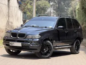BMW X5 3.0d 2005 Blue