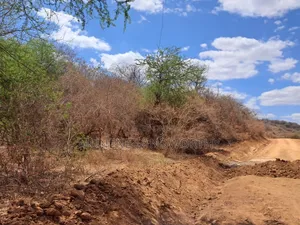 Embu County,Kiambere 16 Acres Affordable Agricultural  Land