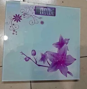 Modern Bathroom Weighing Scale/Personal Digital Scale