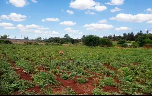 *10acres Prime Agricultural Land Gathigiriri, Mwea*