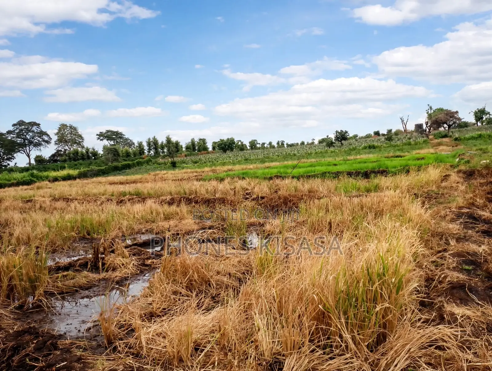*10acres Prime Agricultural Land Gathigiriri, Mwea*
