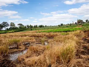 *10acres Prime Agricultural Land Gathigiriri, Mwea*