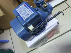 Powerful 0.5hp Pedrollo Water Pump