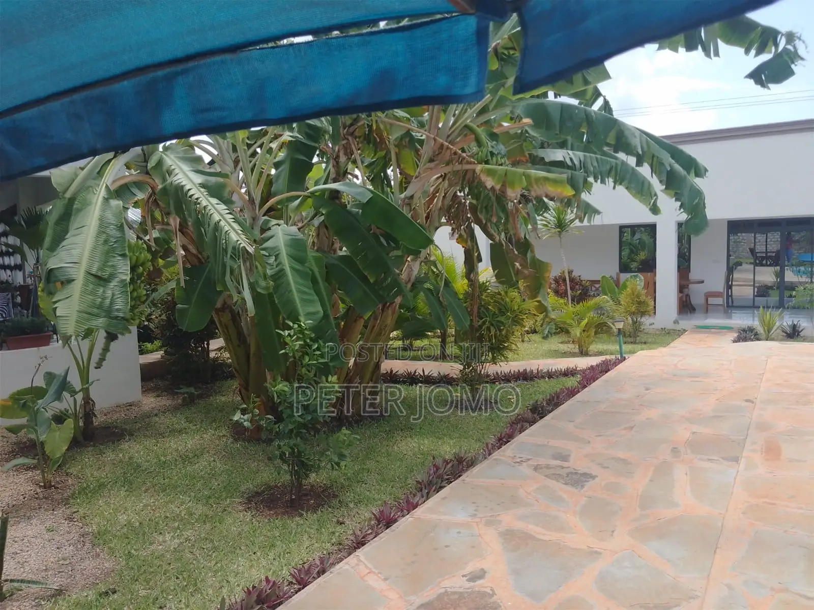 Prime 1/4Acre Property With 2-Bedroom Houses for Sale Diani Galu Beach