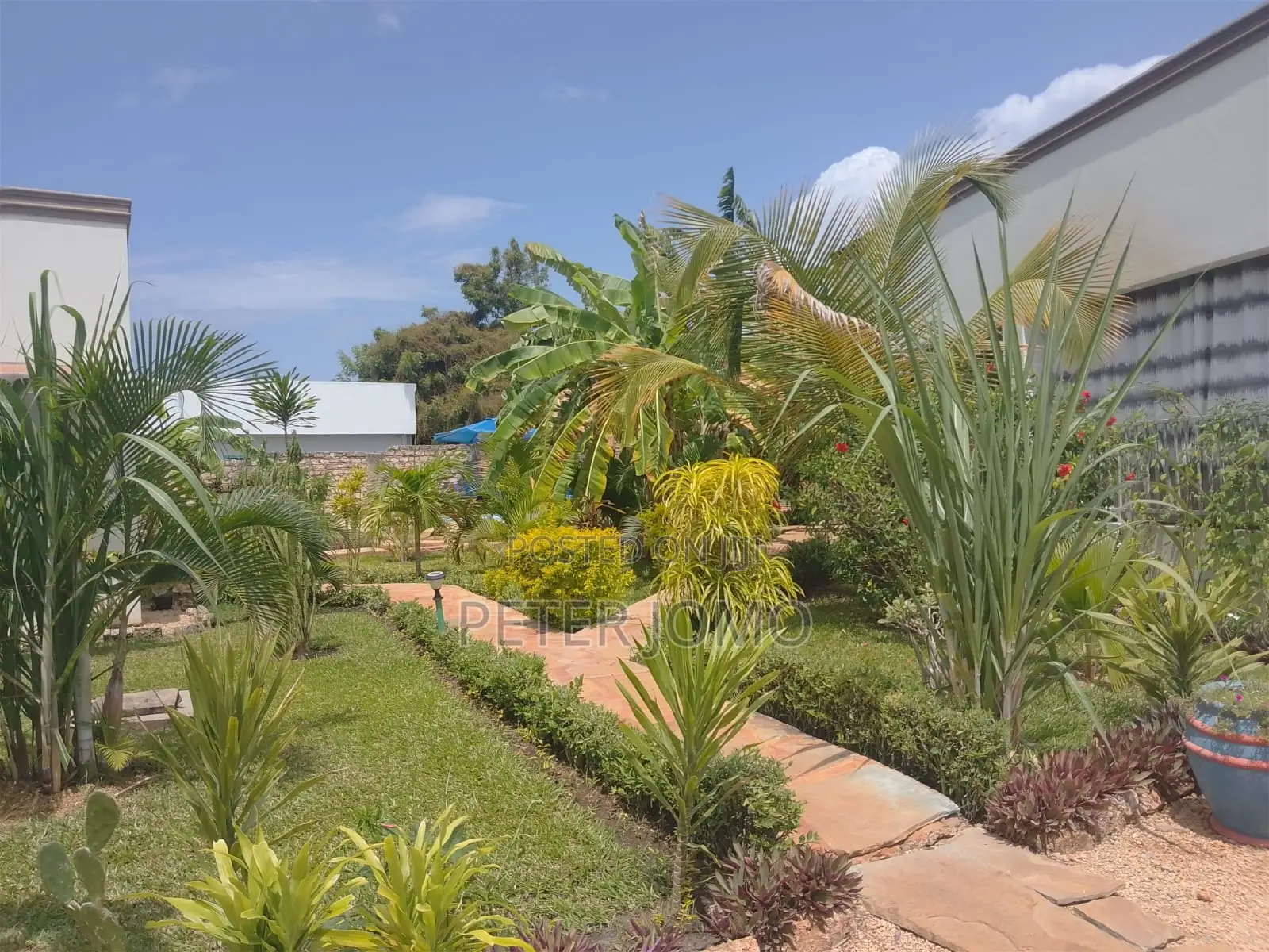 Prime 1/4Acre Property With 2-Bedroom Houses for Sale Diani Galu Beach