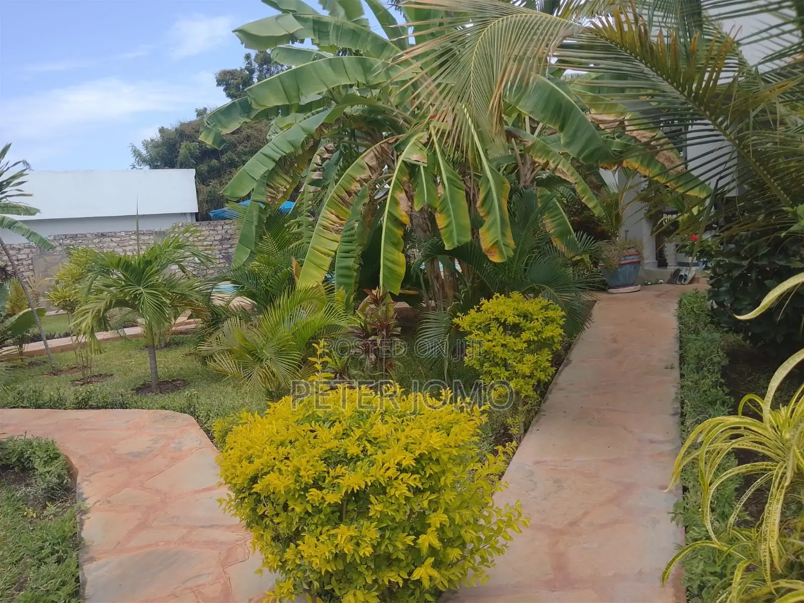 Prime 1/4Acre Property With 2-Bedroom Houses for Sale Diani Galu Beach