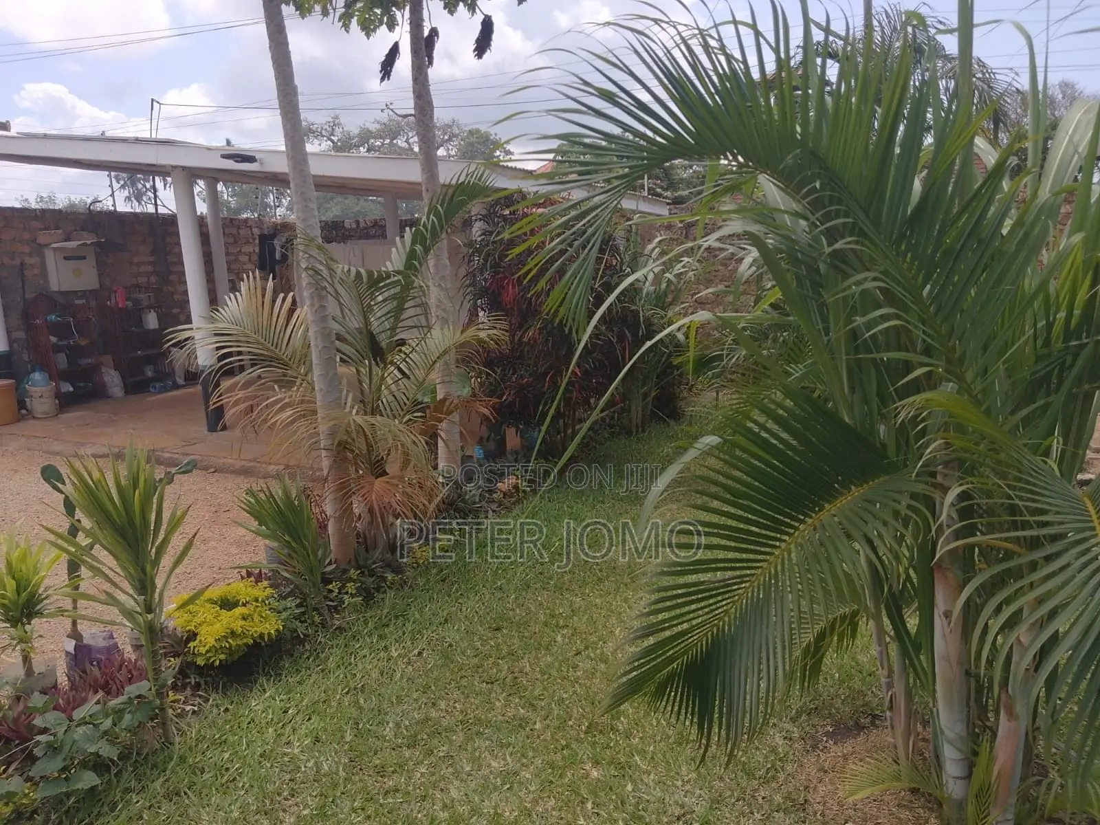 Prime 1/4Acre Property With 2-Bedroom Houses for Sale Diani Galu Beach