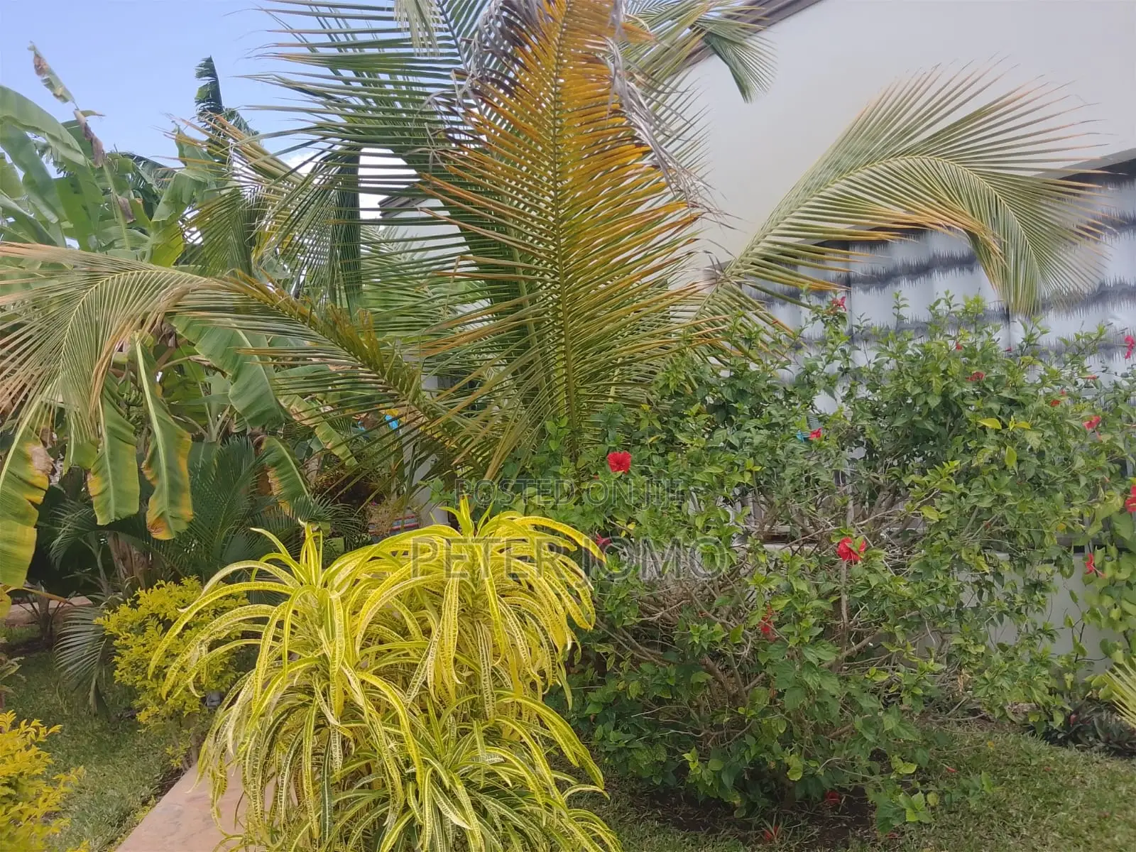 Prime 1/4Acre Property With 2-Bedroom Houses for Sale Diani Galu Beach
