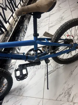 Tony Hawk Kids Bicycle Size 18