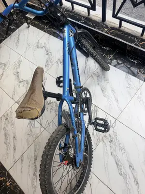 Tony Hawk Kids Bicycle Size 18