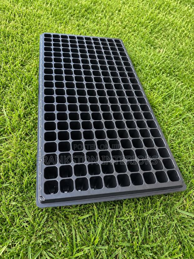 Seedling Trays