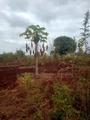 2.6 Acres on Sale at Murang'a -Maragua