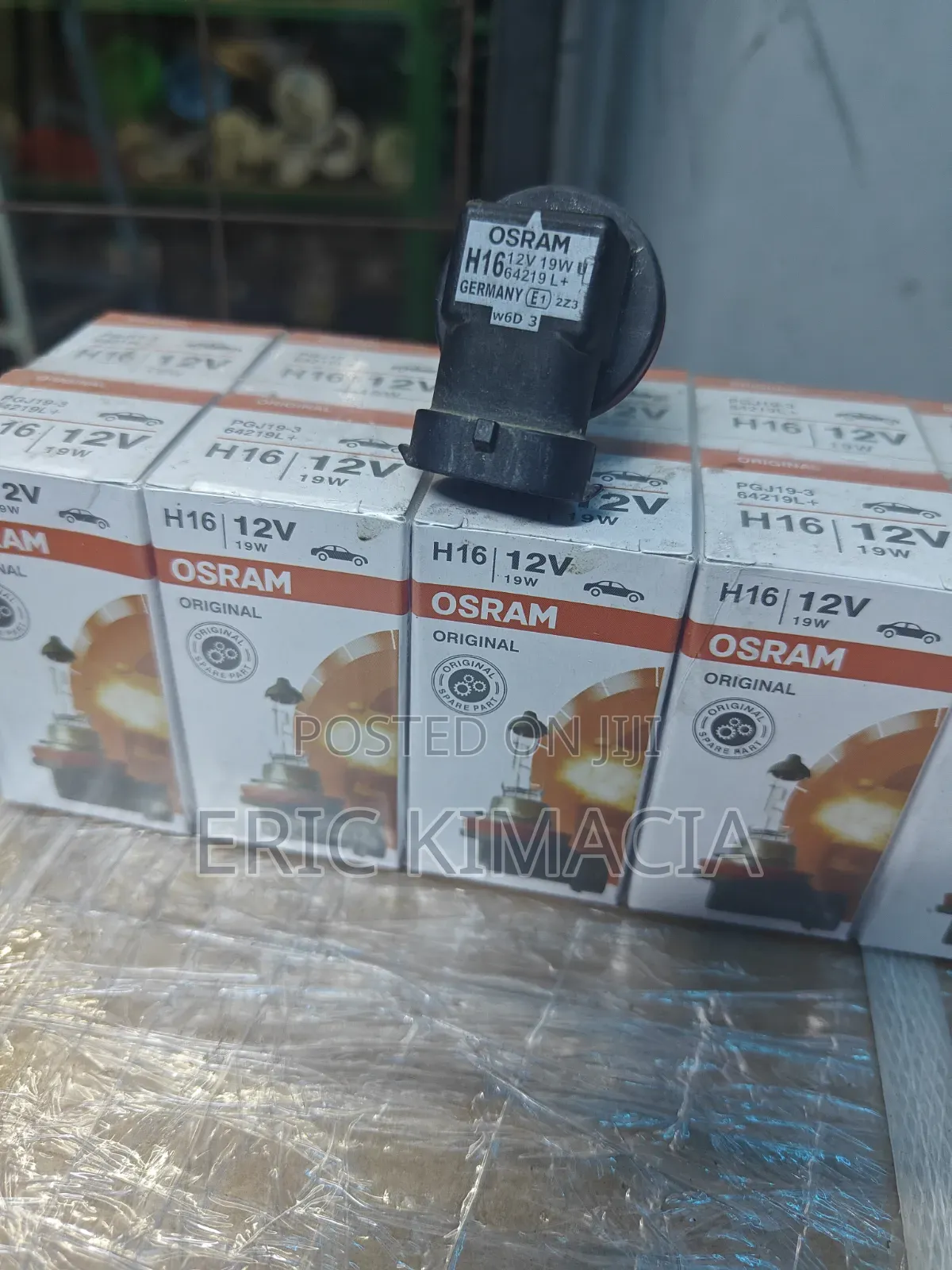 Osram H16 Bulb
