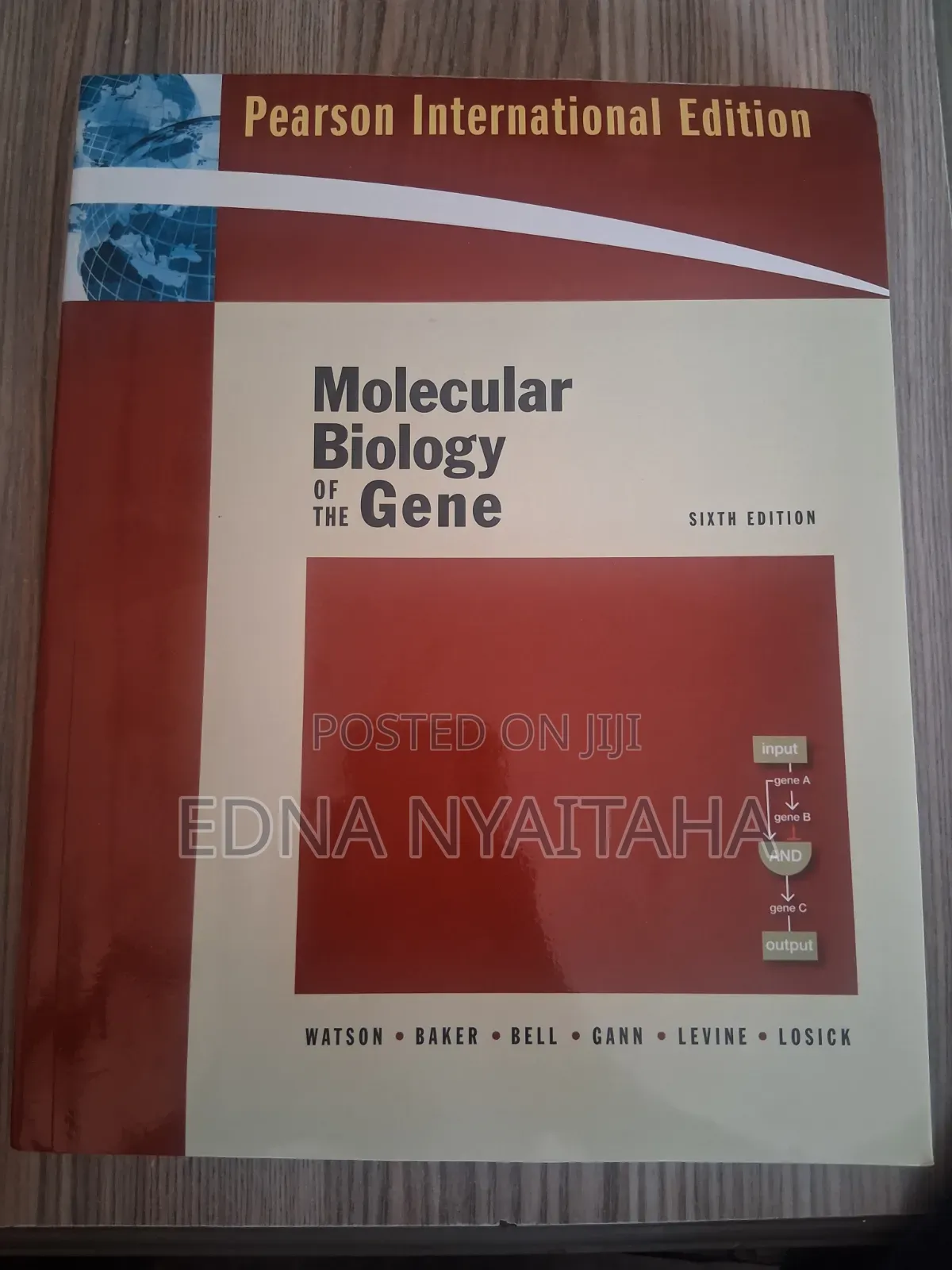 Molecular Biology of the Gene 6th Edition Pearson Textbook