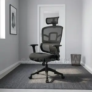 Orthopedic Mesh Chair With Adjusting Arms