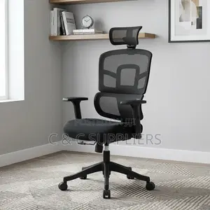 Orthopedic Mesh Chair With Adjusting Arms