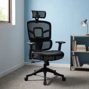 Orthopedic Mesh Chair With Adjusting Arms