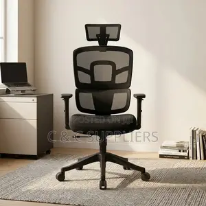 Orthopedic Mesh Chair With Adjusting Arms