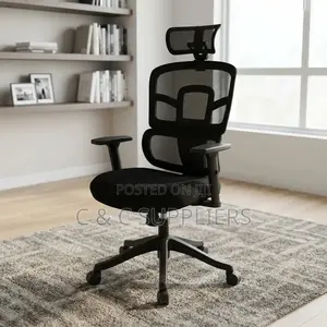 Orthopedic Mesh Chair With Adjusting Arms