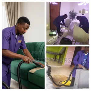 Professional Touch on Fabric Sofaset- We Clean and Dry