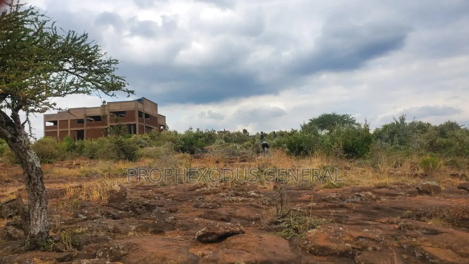 50x100 Plots for Sale in Ongata Rongai
Rangau