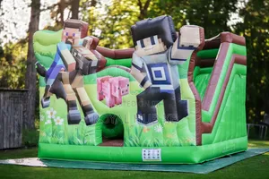 Birthday Party Bouncing Castle for Hire