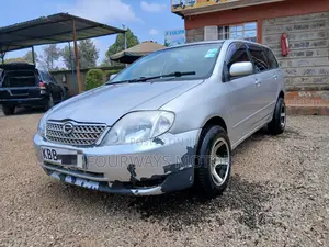 Toyota Corolla Fielder 2001 Silver