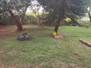 2bdrm Bungalow in Loresho for rent