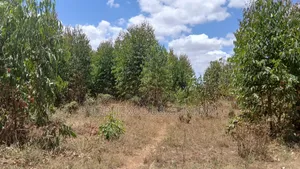 5 Acres for Sale lnTuala Near Rockfied Academy.