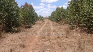 5 Acres for Sale lnTuala Near Rockfied Academy.