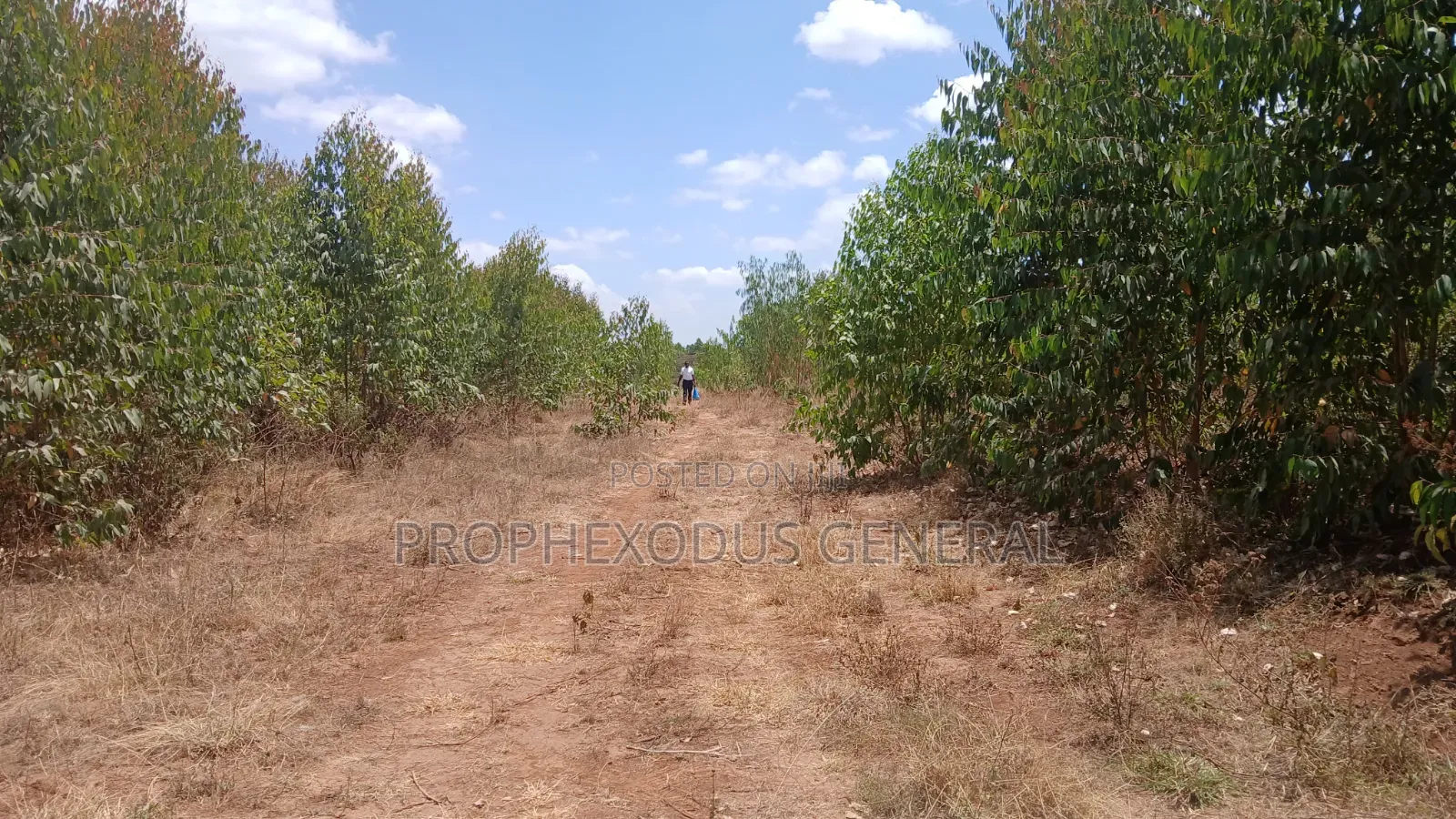 5 Acres for Sale lnTuala Near Rockfied Academy.