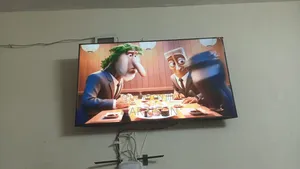 TCL 55 Inch Smart TV