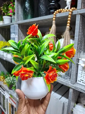 Offer !!Offer!!offer!!
Larger Size Decorative Flowers