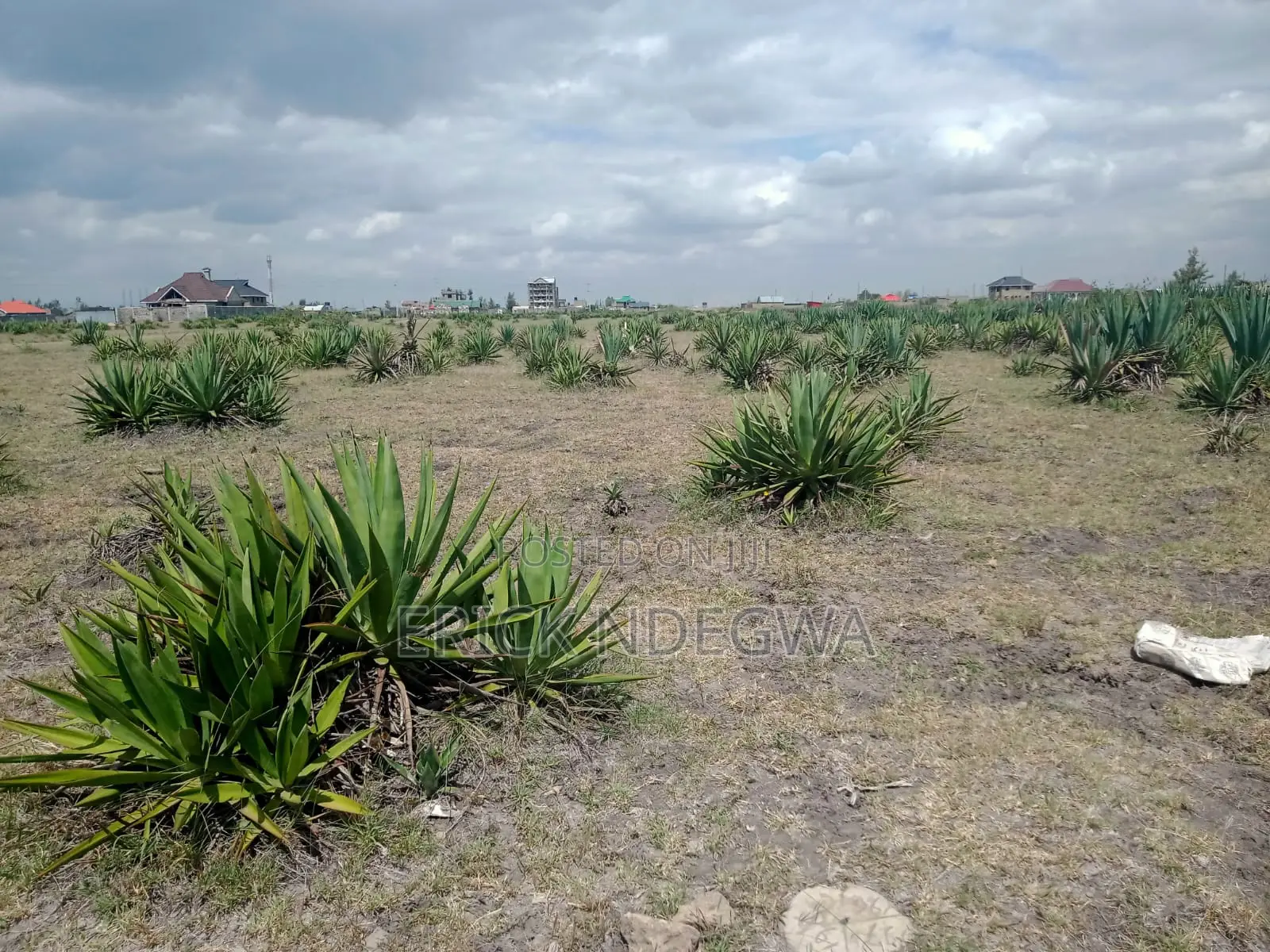 Land for Sale