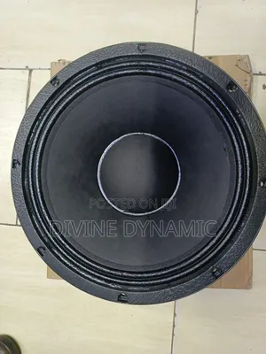 12 Inch New Retone Speaker