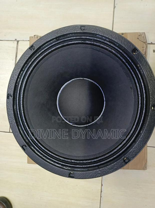 12 Inch New Retone Speaker