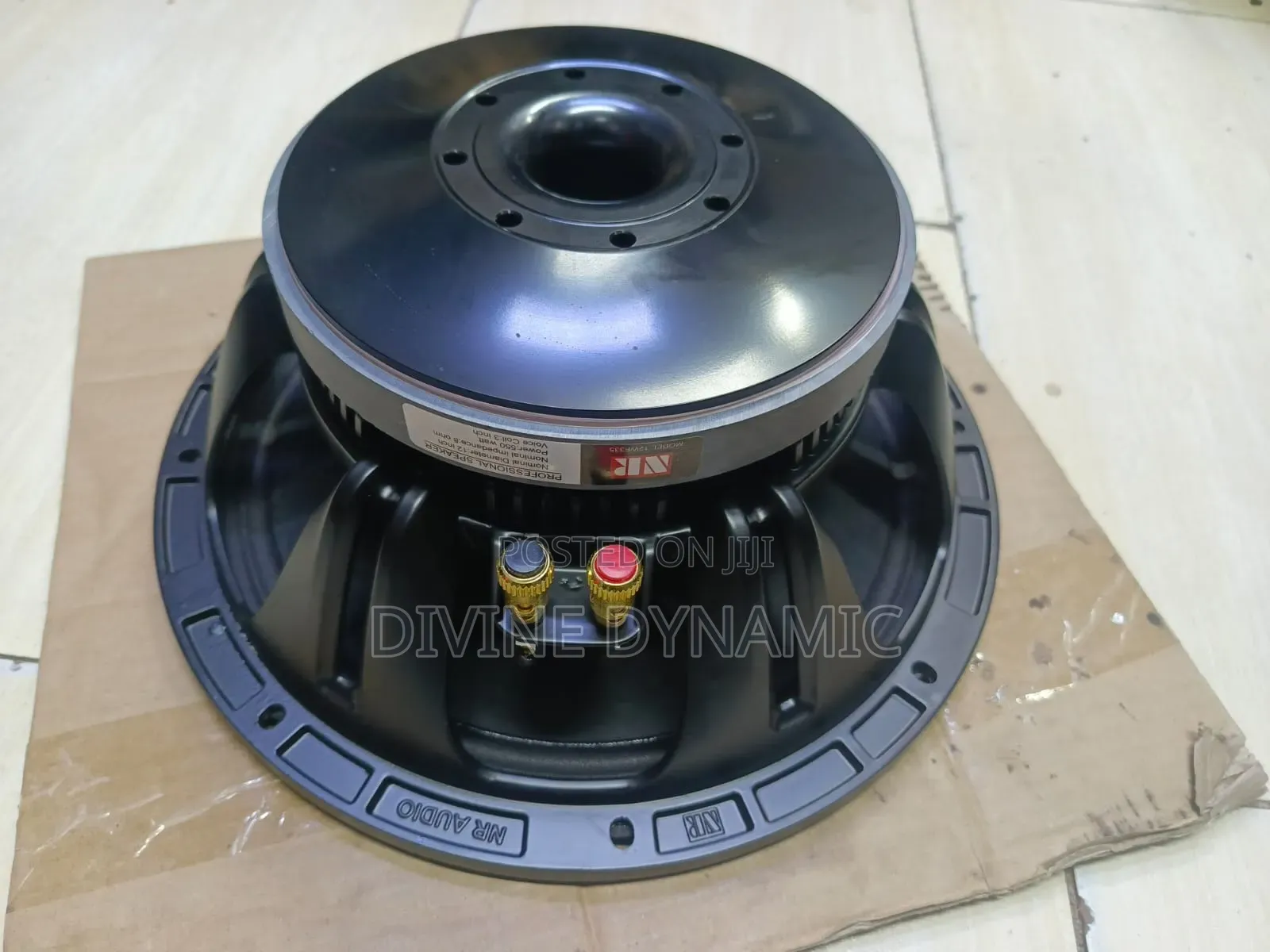 12 Inch New Retone Speaker